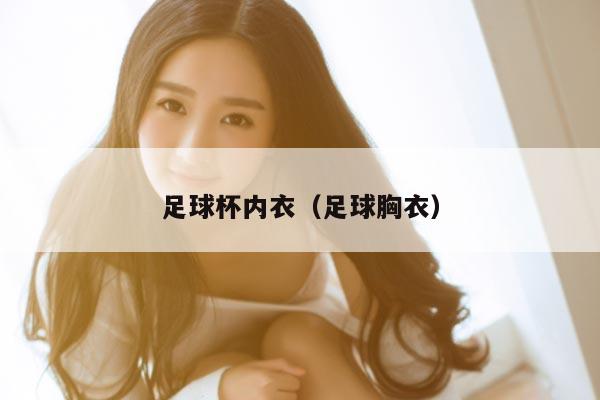 足球杯内衣（足球胸衣）