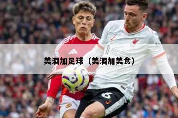 美酒加足球(美酒加美食)