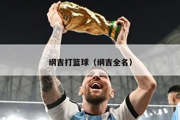 纲吉打篮球（纲吉全名）