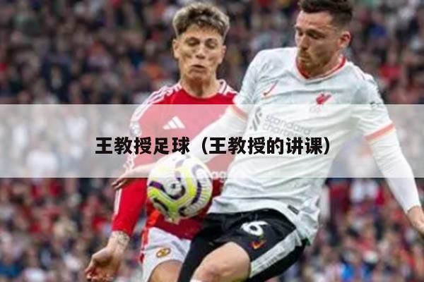王教授足球（王教授的讲课）