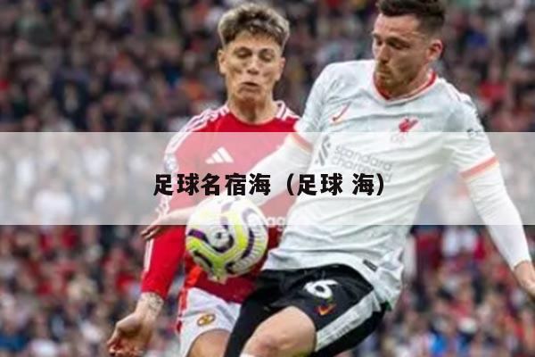 足球名宿海（足球 海）