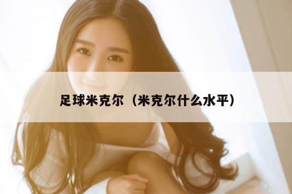 足球米克尔（米克尔什么水平）