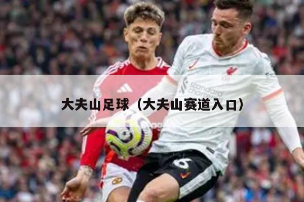 大夫山足球（大夫山赛道入口）