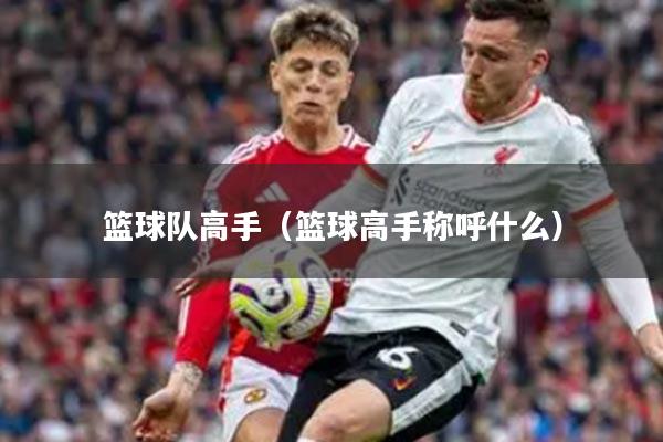 篮球队高手（篮球高手称呼什么）