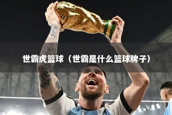 世霸虎篮球（世霸是什么篮球牌子）