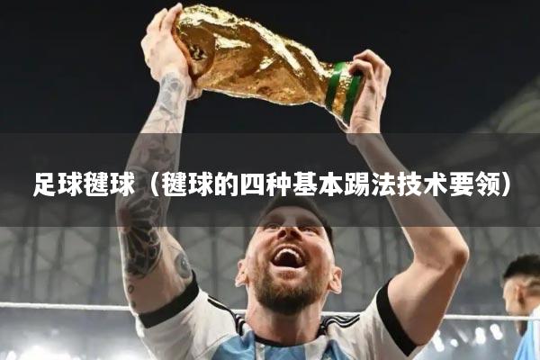 足球毽球(毽球的四种基本踢法技术要领)