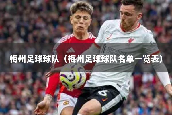 梅州足球球队（梅州足球球队名单一览表）