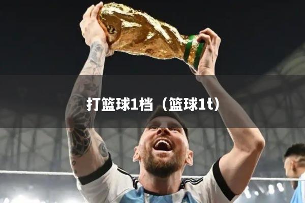 打篮球1档（篮球1t）