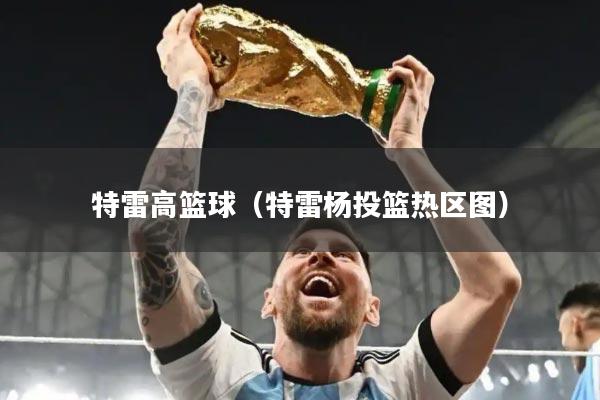 特雷高篮球（特雷杨投篮热区图）