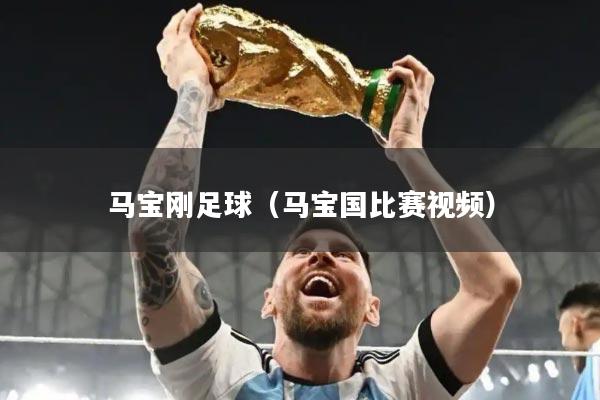 马宝刚足球（马宝国比赛视频）